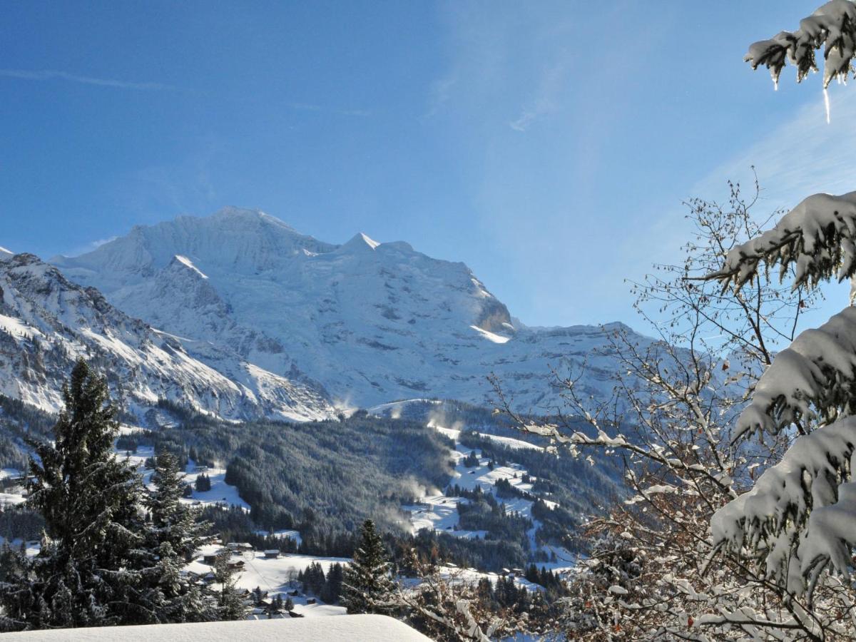 Apartment Bristol Apt-18 By Interhome Wengen Dış mekan fotoğraf