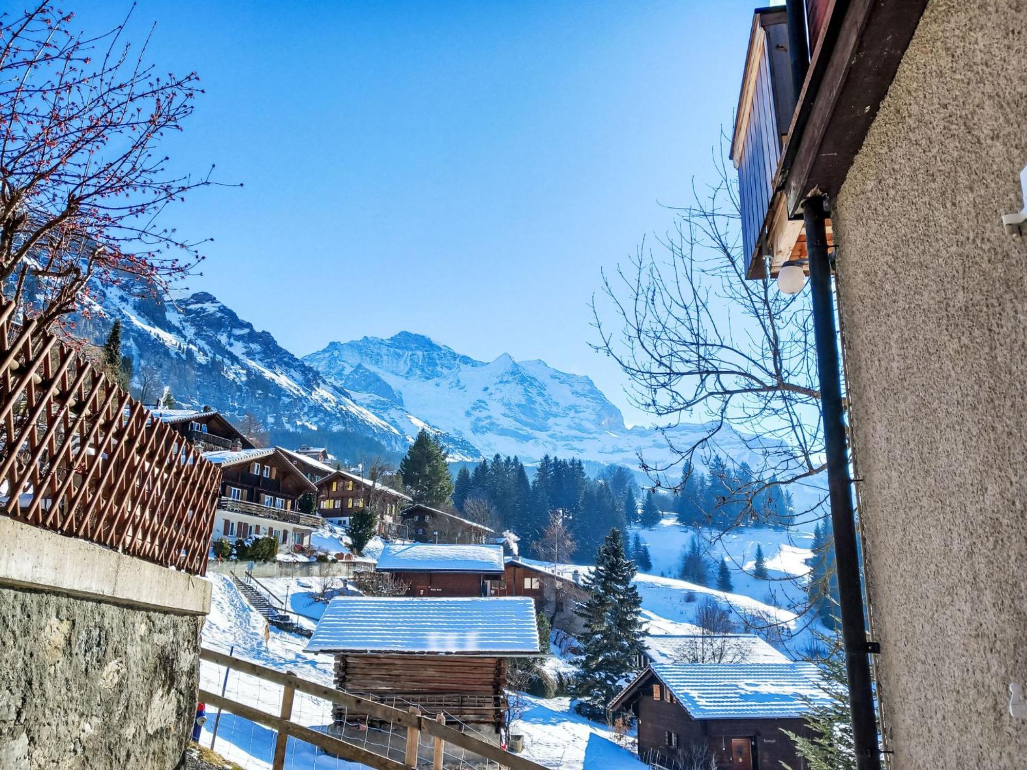 Apartment Bristol Apt-18 By Interhome Wengen Dış mekan fotoğraf